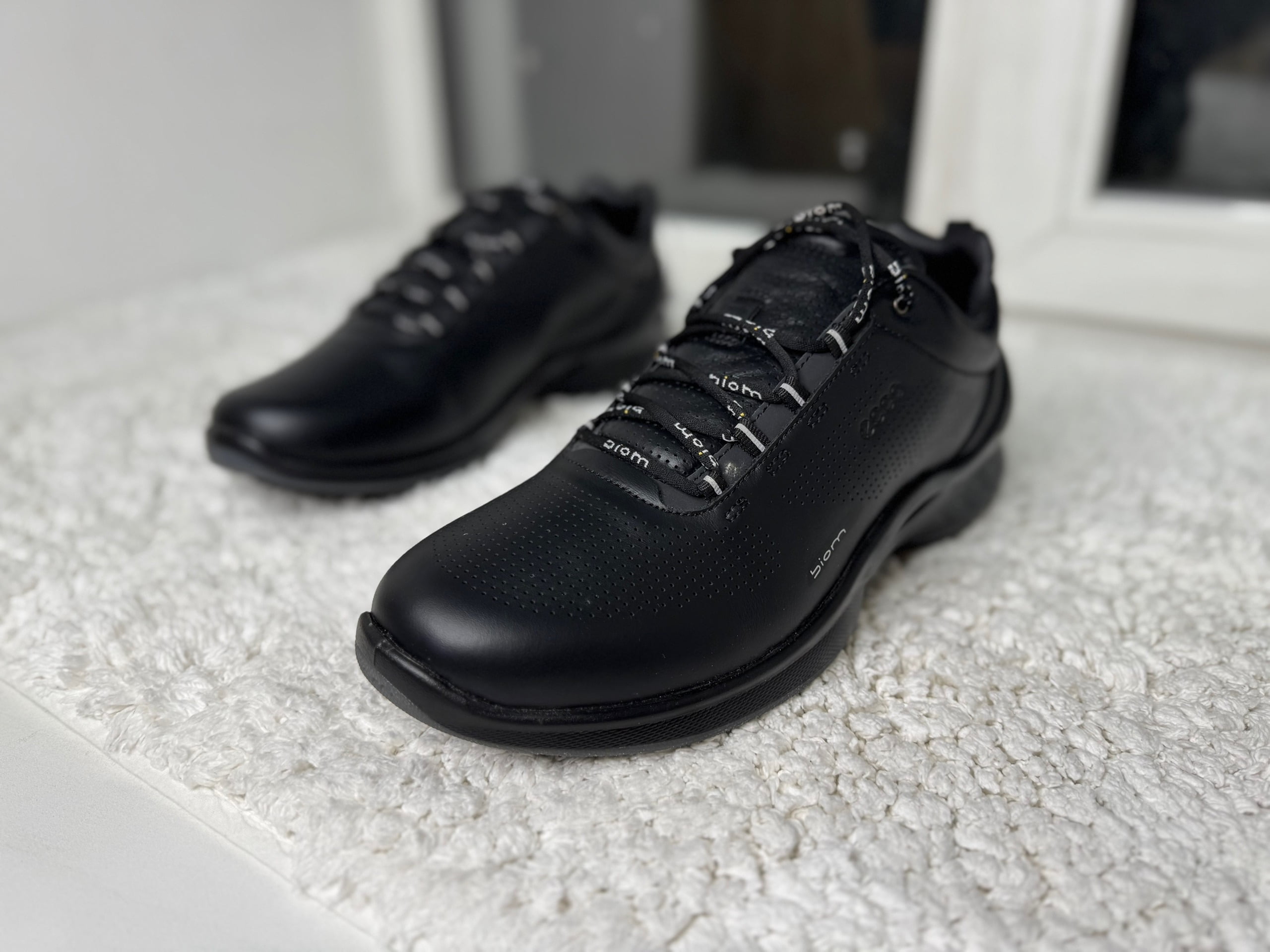 Мужские ECCO BIOM черные New