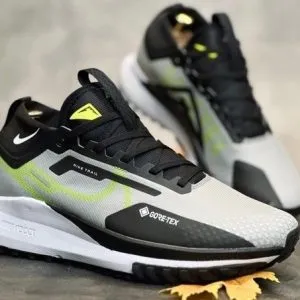 Серые Nike Wmns Pegasus Trail 4 Goretex