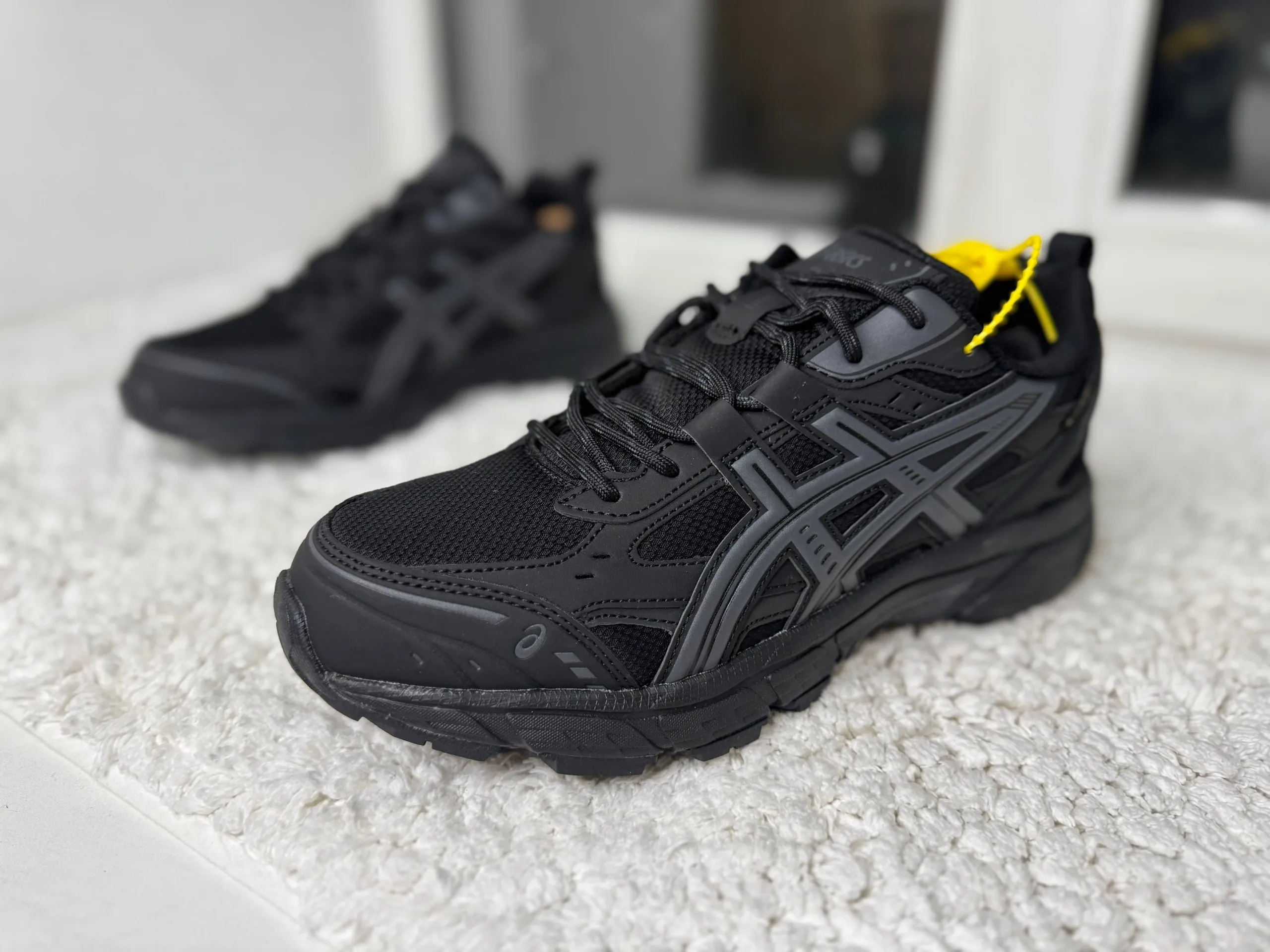 Asics Gore tex Thermo черные