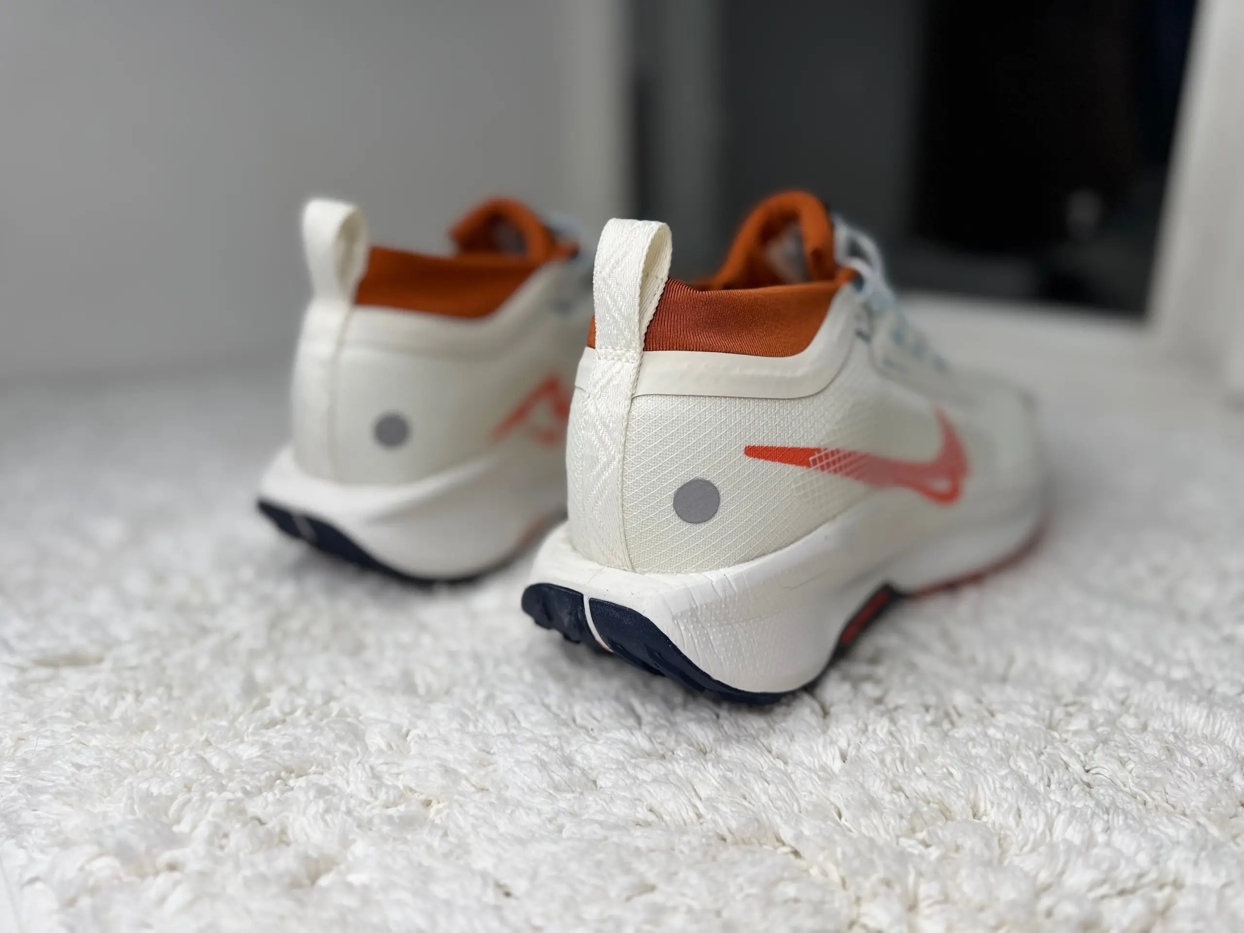 Nike Wmns Pegasus Trail 5 Goretex летние белые